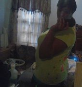 Stephania